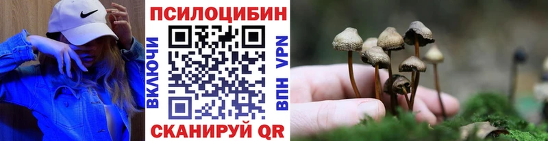 Галлюциногенные грибы Magic Shrooms где купить Южа